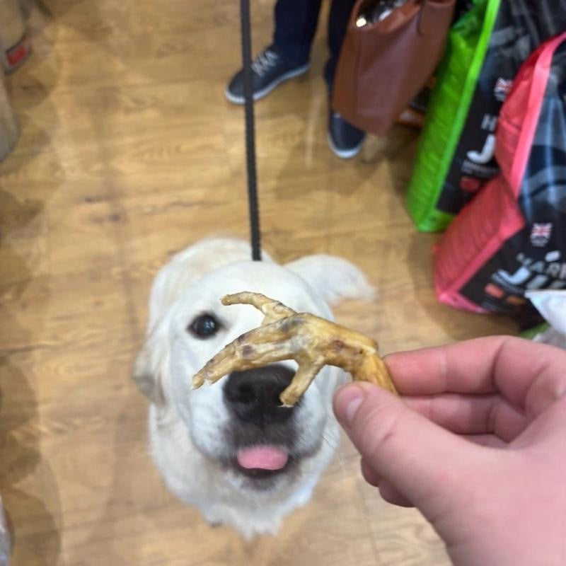 Air-Dried Chicken Feet for Dogs
