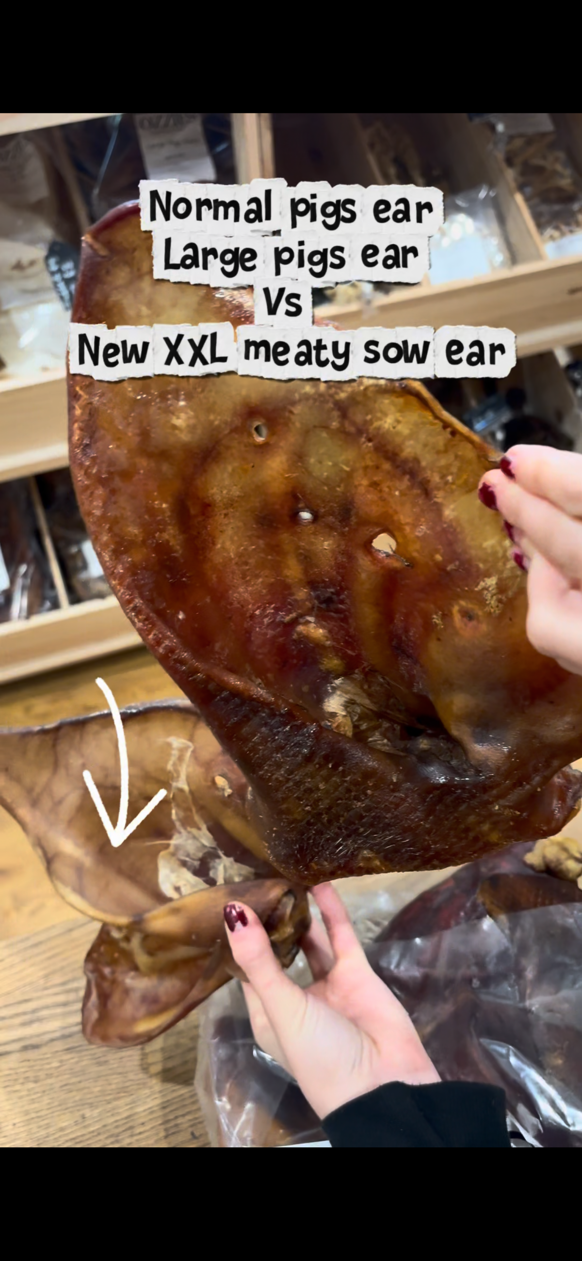 XXL Sow Ears 1kg – Natural Dog Chews