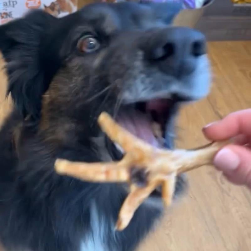 Air-Dried Chicken Feet for Dogs
