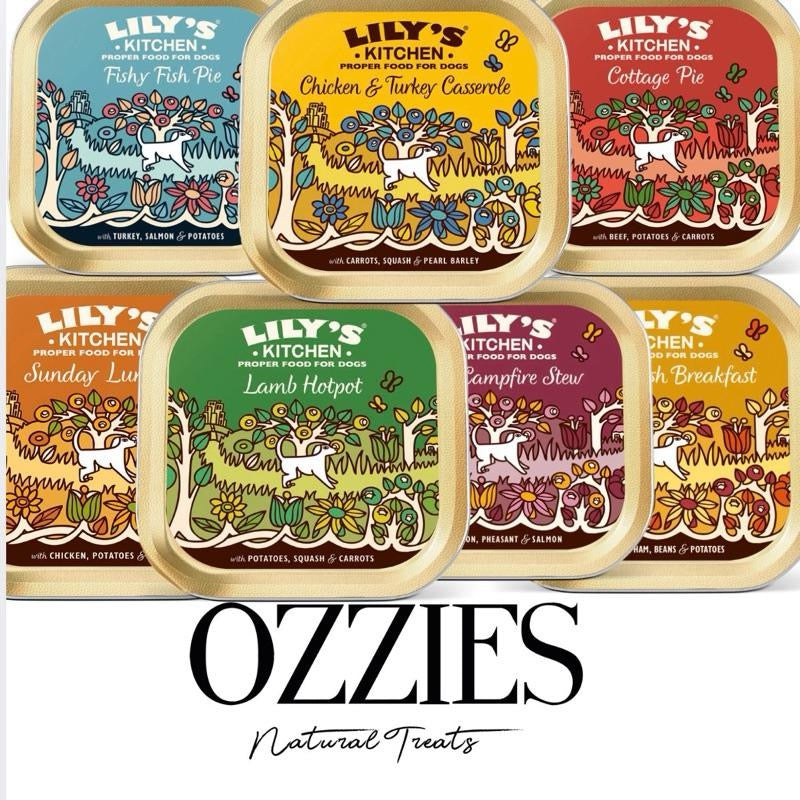 Lily’s Kitchen Wet Dog Food Tray 150g – Choose Your Flavour