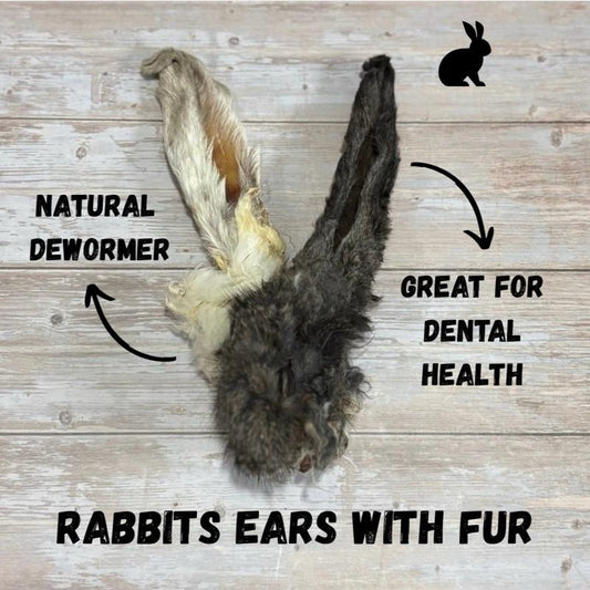 Natural Hairy Rabbit Ears - dogs from 12 weeks