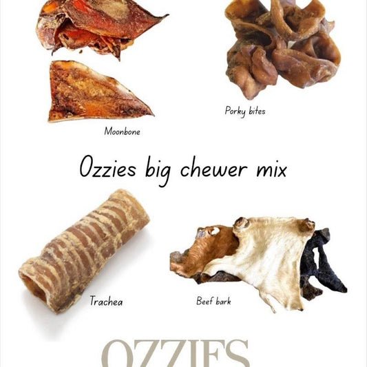 Big Chewer Natural Dog Treat Bundle