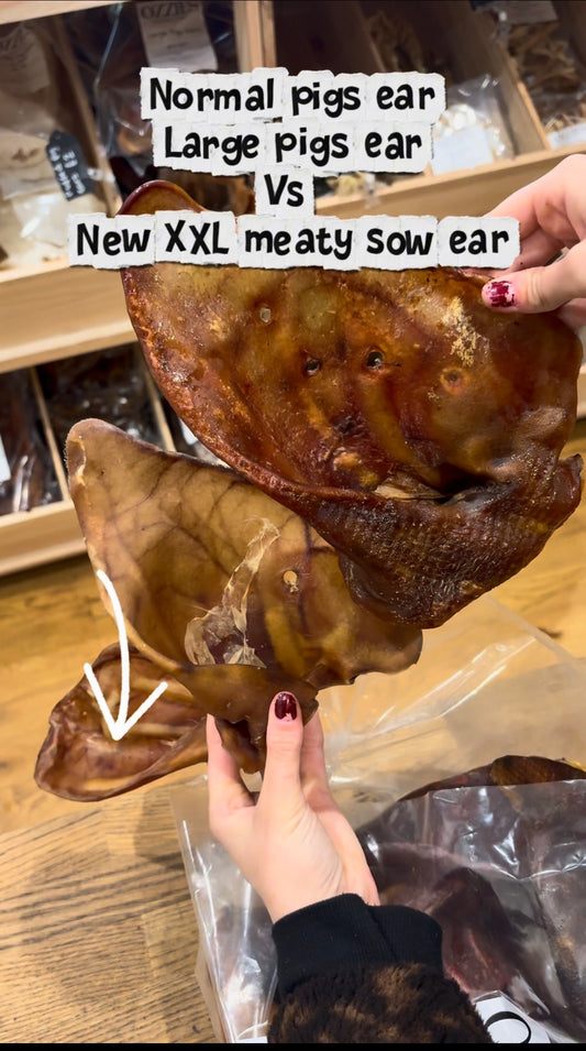 XXL Sow Ears 1kg – Natural Dog Chews